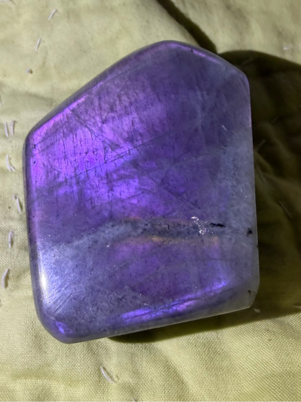 2.45 Inch Purple Sunset Lab - Picture 1 of 2
